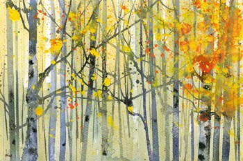 Autumn Birches by Paul Bailey art print