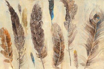 Feather Study by Albena Hristova art print