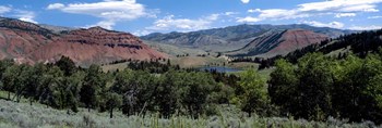 Trees on Red Hills, Bridger Teton National Forest, Wyoming by Panoramic Images art print