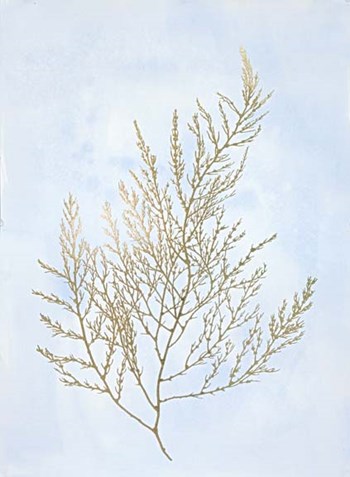 Gold Foil Algae II on Blue - Metallic Foil by Jennifer Goldberger art print