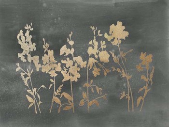 Gold Foil Flower Field on Black - Metallic Foil by Vision Studio art print