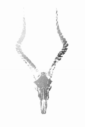 Silver Foil Rustic Mount II on White - Metallic Foil by Vision Studio art print