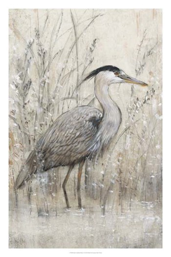 Hunt in Shallow Waters I by Timothy O&#39;Toole art print