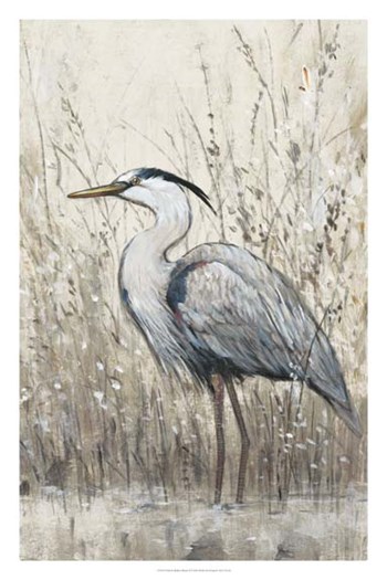 Hunt in Shallow Waters II by Timothy O&#39;Toole art print