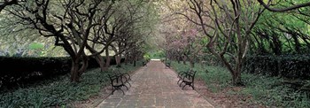 Through Conservatory Garden, Central Park, NYC by Richard Berenholtz art print