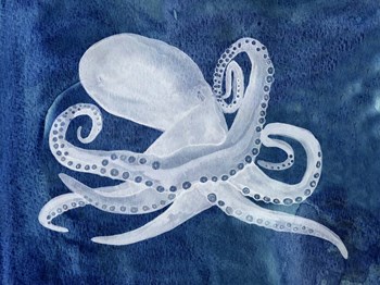 Cephalopod I by Alicia Ludwig art print