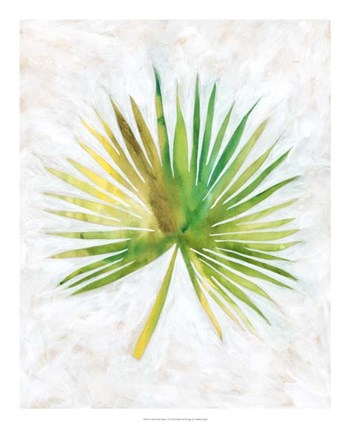 Ocean Side Palms  II by Chariklia Zarris art print