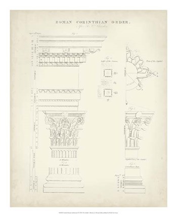 Greek &amp; Roman Architecture II by Thomas Kelly art print