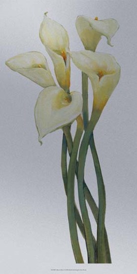 Callas on Silver I by Timothy O&#39;Toole art print