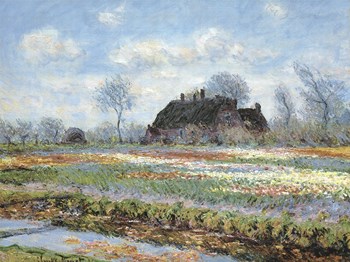 Tulip Fields at Sassenheim by Claude Monet art print