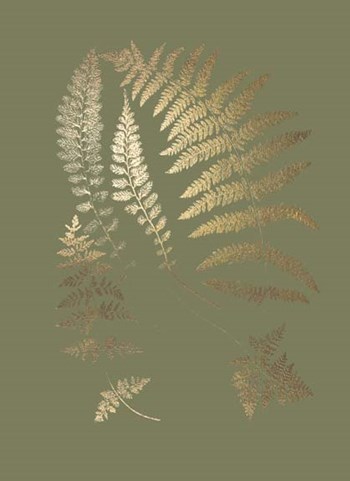 Gold Foil Ferns II on Mid Green - Metallic Foil by Vision Studio art print