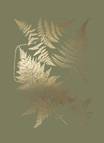 Gold Foil Ferns III on Mid Green - Metallic Foil by Vision Studio art print