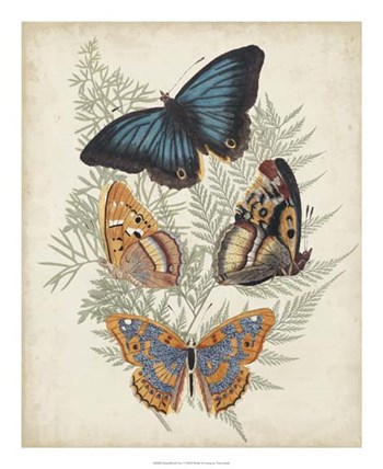 Butterflies &amp; Ferns V by Vision Studio art print