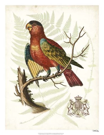 Regal Parrots II by Vision Studio art print