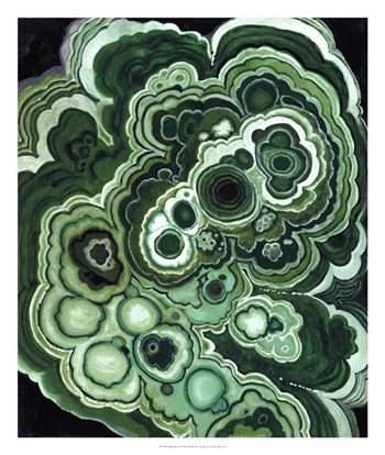 Malachite I by Naomi McCavitt art print