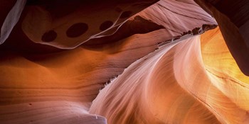 Canyon Light by Dan Ballard art print