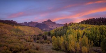 Foliage Sunset by Dan Ballard art print