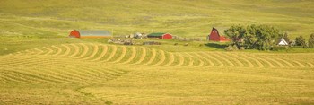 Farm Panorama by Dan Ballard art print