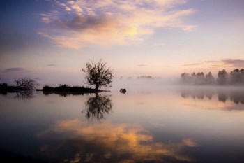 Evening Reflections by Dan Ballard art print