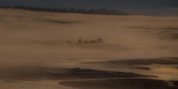 Trees in the Fog by Dan Ballard art print