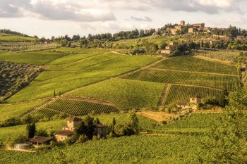 Green Hills by Dan Ballard art print