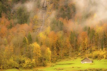 Fall Colors by Dan Ballard art print