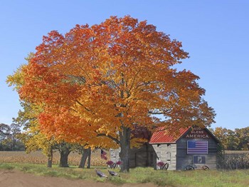 God Bless - Fall with Turkeys by Jean Plout art print