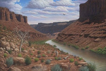 Along The Colorado by Robert Wavra art print