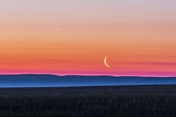 Moon and Venus rising over the flat prairie horizon of Alberta, Canada by Alan Dyer/Stocktrek Images art print