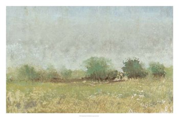 Spring Field II by Timothy O&#39;Toole art print