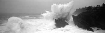 Waves breaking on the coast, Shore Acres State Park, Oregon BW by Panoramic Images art print