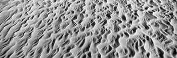 Detail of sand dunes at Anza Borrego Desert State Park, California by Panoramic Images art print