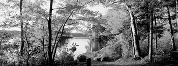 Trees at the lakeside, Great Sacandaga Lake, Adirondack Mountains, NY by Panoramic Images art print