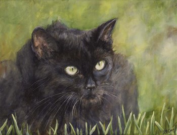 Black Cat by Sarah Davis art print