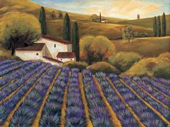 Field of Lavender II by Michael Cooper art print