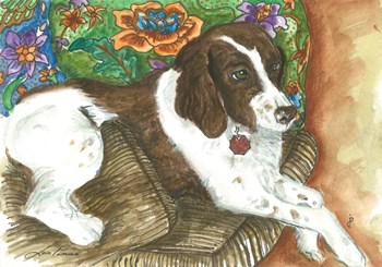 Chester by Jan Panico art print