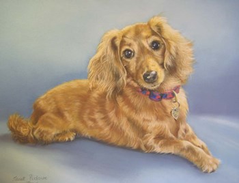 Sophie, Blue Background by Janet Pidoux art print