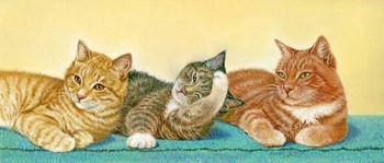 Tabbies by Janet Pidoux art print
