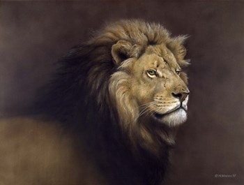 Lion Male by Harro Maass art print