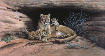 Mountain Lions by Harro Maass art print