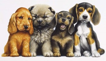 Young Dogs by Harro Maass art print