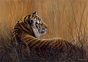 Tiger In Grass by Harro Maass art print