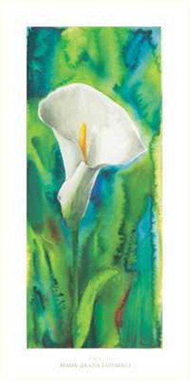 Calla by Maria Grazia Luffarelli art print