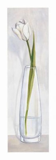 Vaso con Tulipano by Lisa Corradini art print