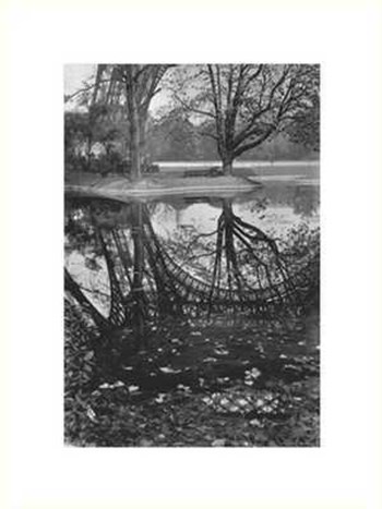 Reflet de la Tour Eiffel, 1939 by Marcel Bovis art print