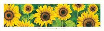 Campo di Girasoli by Maria Grazia Luffarelli art print