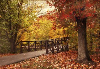 Autumn Footbridge by Jessica Jenney art print
