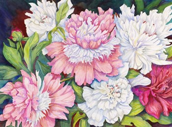 A Peony Cluster by Joanne Porter art print
