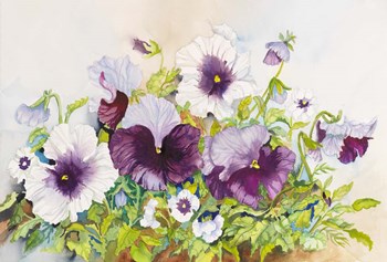 Early Pansies by Joanne Porter art print