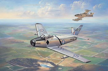 First Flight - Temora by John Bradley art print